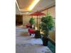 Hotel Grand Vert Gizan - Vacation Stay 95353