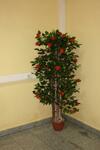 Albergue Hotelhot Sheremetyevo
