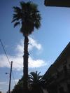 Hotel Markos