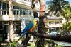 Hotel Paradise Bay - Beach & Watersport Resort