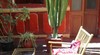 Hostal La Posada Del Virrey