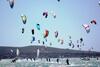 Moskombers Langebaan