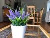 Hostal The Lavender Guesthouse