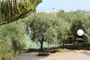 Chambres D'h�tes Le Clos Des Oliviers