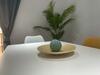 Apartamentos Nebro