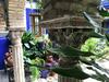 Apartamento Alojamiento Casa T�pica de C�rdoba