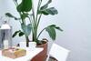 Apartamento Entrenaranjos