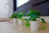 Apartamento Victoria Suites Terrace