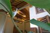 Adara Homestay