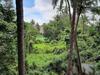 Villa Soares Stay Home - In The Lap Of Greenery