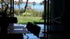 Apartamento El Veler�n