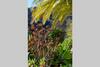Apartamento El Quinto Pino, Frigiliana