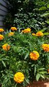 Hostal Elfin Hill Country Accommodation