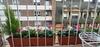 Apartamento Dindurra Lux