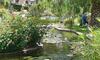 Apartamento 76 Los Lagos