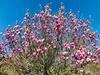 Lodge Finca Briab�