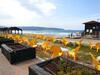 Road To The Beach Apartment By Domik