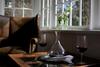 Hotel Parklands Country Gardens & Lodges