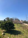 Villa Son Roig ,lugar Id�lico,en El Coraz�n de Mallorca