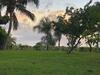 Apartamento Suite Tropical Garden Avec Vue Imprenable!!!