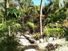 Agroturismo Villas Tortugas Akumal