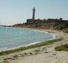 Black Sea View Apartment