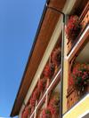Hotel Alex