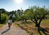Villa Mas Palou