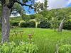 Apartamento Rose Cottage Im Romantischen Taubertal