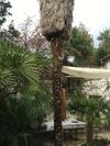 Apartamento Palmera