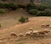 Bed & Breakfast Charmante Chambre Proche A�roport