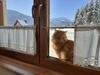 Widok�wka Tatry Pokoje I Apartamenty