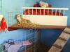 Apartamentos Holiday Home De Heksenketel Veere