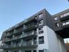 Apartament B�?nicza