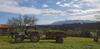 Agroturismo Turismo Rural El Piensu