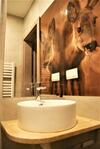 Bed & Breakfast Villa Natura Zator Przecisz�w