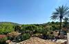 Apartamento Finca Oase - App.tejado