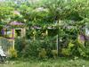 Dandeli Jungle Homestay