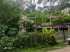 Dandeli Jungle Homestay