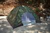 Dandeli Jungle Homestay
