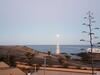 Tenerife Lizards - Duplex In The First Line