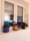 Apartman Sti?anka