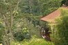 Hotel Kupu Kupu Barong Villas & Tree Spa