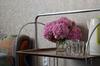 Hostal Guest House On Kabardinskaya 107