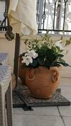 Bed & Breakfast Il Vicoletto