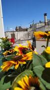 Bed & Breakfast Il Vicoletto