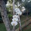Hostal Recanto Da Ferradura