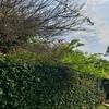 Hostal Recanto Da Ferradura