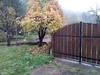 Apartamento ?umska Idila Rakovac