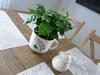 Apartamenty U Pi?tk�w
